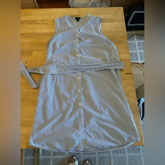 J Crew Sleeveless Blue Striped Dress - Picture 4 of 6
